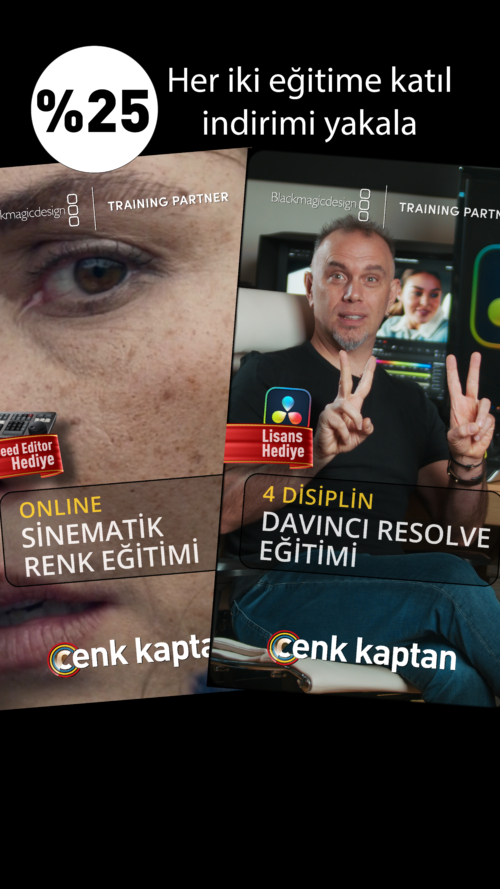 4 Disiplin + Renk Eğitimi